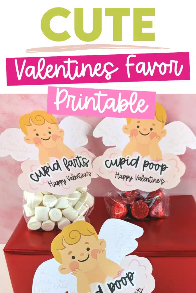 Valentine's party favour idea.